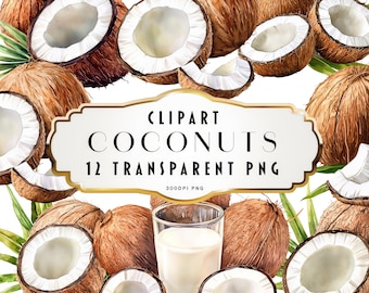 Clipart di cocco acquerello Clipart di frutta Clipart di estate Clipart di noci di cocco Clipart estivo Elementi frondosi Download immediato Uso commerciale