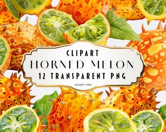 Clipart di melone cornuto ad acquerello, frutto di Kiwano, PNG, uso commerciale, melone gelatinoso, frutta tropicale esotica, download digitale, arte dipinta a mano