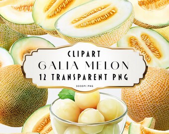 Pacchetto di clipart di melone Galia ad acquerello, file digitali di arte di frutta estiva in formato PNG di melone sardo, set di illustrazioni di cibo ritagliato a fetta di melone per l'artigianato