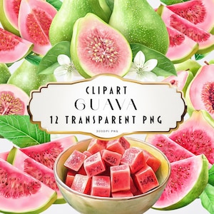 Aquarel guave clipart PNG digitale download handgeschilderde hele en gesneden roze groene guave tropisch fruit illustraties commercieel gebruik Set