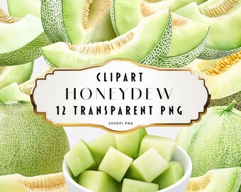 Acquerello melata clipart PNG melone verde fette di frutta intera dipinta a mano cibo estivo arte download digitale uso commerciale set di illustrazioni