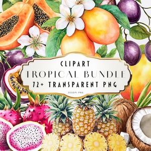 May include: Watercolor clipart bundle of tropical fruits, flowers, and leaves. Includes pineapples, dragon fruit, passion fruit, papaya, mango, coconuts, and more. 72+ transparent PNG files, 300 DPI.