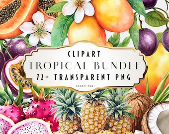 Raccolta di clipart di frutta tropicale, PNG, acquerello, ananas, mango, papaya, frutto del drago, cocco, frutto della passione, illustrazioni, artigianato, uso commerciale