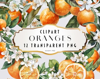 Watercolor Orange Clipart, Spring Clip Art, Floral Clipart Set, Orange Flowers, Floral Bouquets, Floral Elements, Commercial use