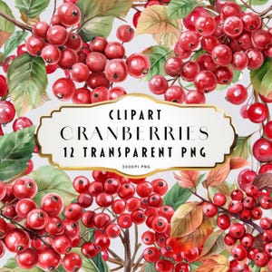 Aquarelle canneberges Clipart, clipart automne, ensemble de cliparts floraux Wraith, bouquets de fleurs de canneberges, éléments floraux, usage Commercial