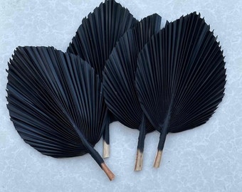 Charcoal Black Dried Palm Leaf (17&quot;L): Tropical Boho Decor, DIY Floral Arrangement - 3 PCS
