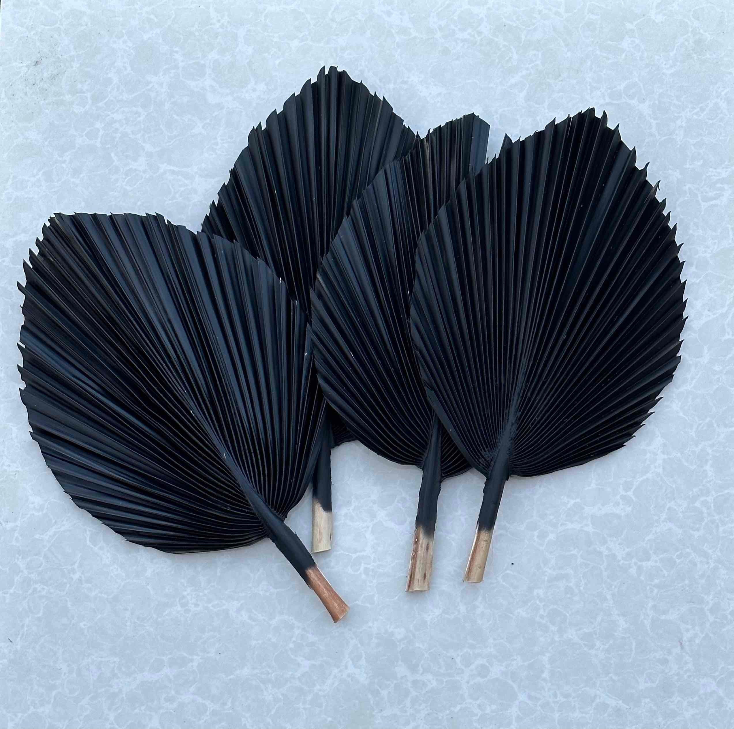 Decorative Palm Tree Leaf