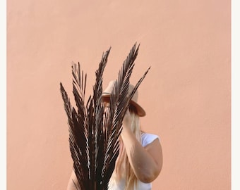 5pcs Espresso Dried Sago Palm Leaves, Boho Decor