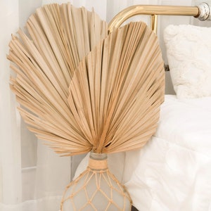 May include: Two large, dried, fan-shaped palm leaves in a light tan color are arranged in a clear glass bottle. The bottle features a decorative light tan twine netting wrapped around its base and neck, providing a textured, natural appearance.