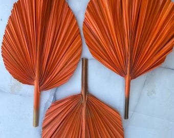 14” Burnt Orange Fall Palm Hand Painted Palm Leaf | Tropical Wall Decor | Boho Coastal Decor | Painted Palm Frond | Beach House Wall Art 3PC