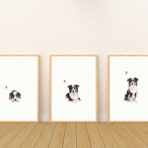 May include: Three framed prints of watercolor paintings of an Australian Shepherd dog. The dog is depicted in three different poses: lying down, sitting, and standing. Each print features a small butterfly.