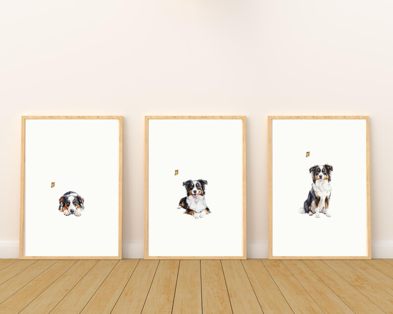 May include: Three framed prints of watercolor paintings of an Australian Shepherd dog. The dog is depicted in three different poses: lying down, sitting, and standing. Each print features a small butterfly.