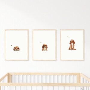 Op de afbeelding: Drie ingelijste prints van een Cavalier King Charles Spaniel hond in verschillende poses. De hond is bruin en wit en kijkt in elke afbeelding naar een vlinder.
