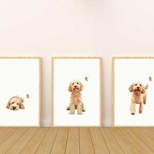 May include: Three framed prints of a golden doodle dog. The dog is shown in three different poses: lying down, sitting, and running. Each print features a small butterfly.