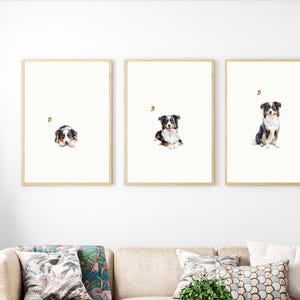 May include: Three framed watercolor paintings of an Australian Shepherd dog. The dog is shown in three different poses: lying down, sitting, and standing. Each painting features a small butterfly.