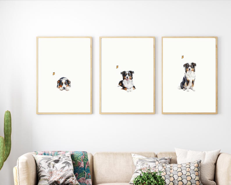 May include: Three framed watercolor paintings of an Australian Shepherd dog. The dog is shown in three different poses: lying down, sitting, and standing. Each painting features a small butterfly.