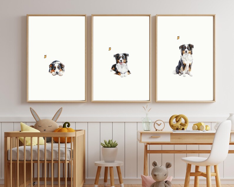 May include: Three watercolor paintings of an Australian Shepherd dog. The dog is shown in three different poses: lying down, sitting, and standing. Each painting features a small butterfly.