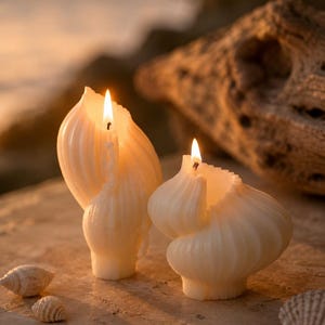 May include: Two off-white, wax candles shaped like spiral seashells, each featuring a lit wick. The candles have a ribbed, textured surface and are positioned on a flat surface alongside three small, unlit natural seashell accents.