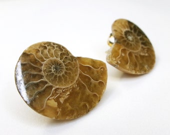 Large Ammonite Stud Post Earrings, Genuine Fossils, Natural Stone Jewelry