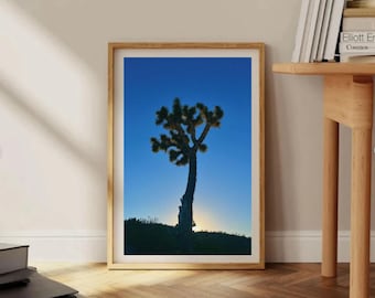 Parque Nacional Joshua Tree