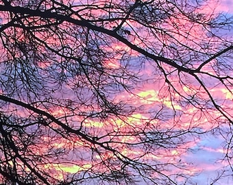 Coucher de soleil en Virginie du Nord