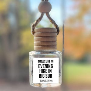 May include: A clear glass car air freshener with a wooden cap and a string for hanging. The label reads "Smells Like An Evening Hike In Big Sur". The background is blurred, showing a view of trees.