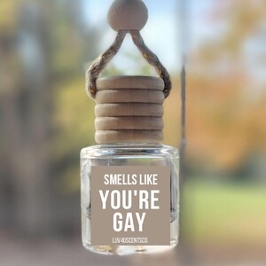 May include: A small, clear glass car air freshener bottle hanging from a rearview mirror by a tan braided rope with a wooden bead. The bottle features a square label with a tan background and white text that reads: SMELLS LIKE YOU'RE GAY LUV4USCENTSCO.