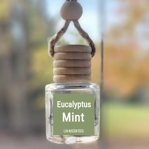 May include: A clear glass car air freshener with a wooden cap and a string for hanging. The label reads "Eucalyptus Mint" in white text on a green background. The car air freshener is hanging from a car's rearview mirror.