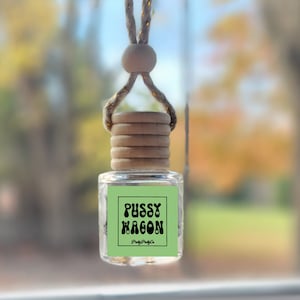 May include: A green car air freshener with the text "Pussy Wagon" in a retro font. The air freshener is hanging from a rearview mirror in a car.