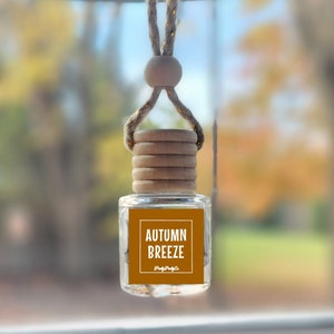 May include: A brown glass car air freshener with a wooden cap and a gold string hanging from the top. The label reads "Autumn Breeze" with the text "Fragrance Co." underneath.