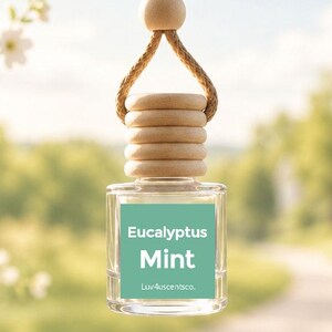 May include: A clear glass car air freshener bottle with a light wooden cap and a tan rope hanger. The bottle features a square teal label with the white text Eucalyptus Mint and the smaller text Luv4scentsco. centered on the front surface.