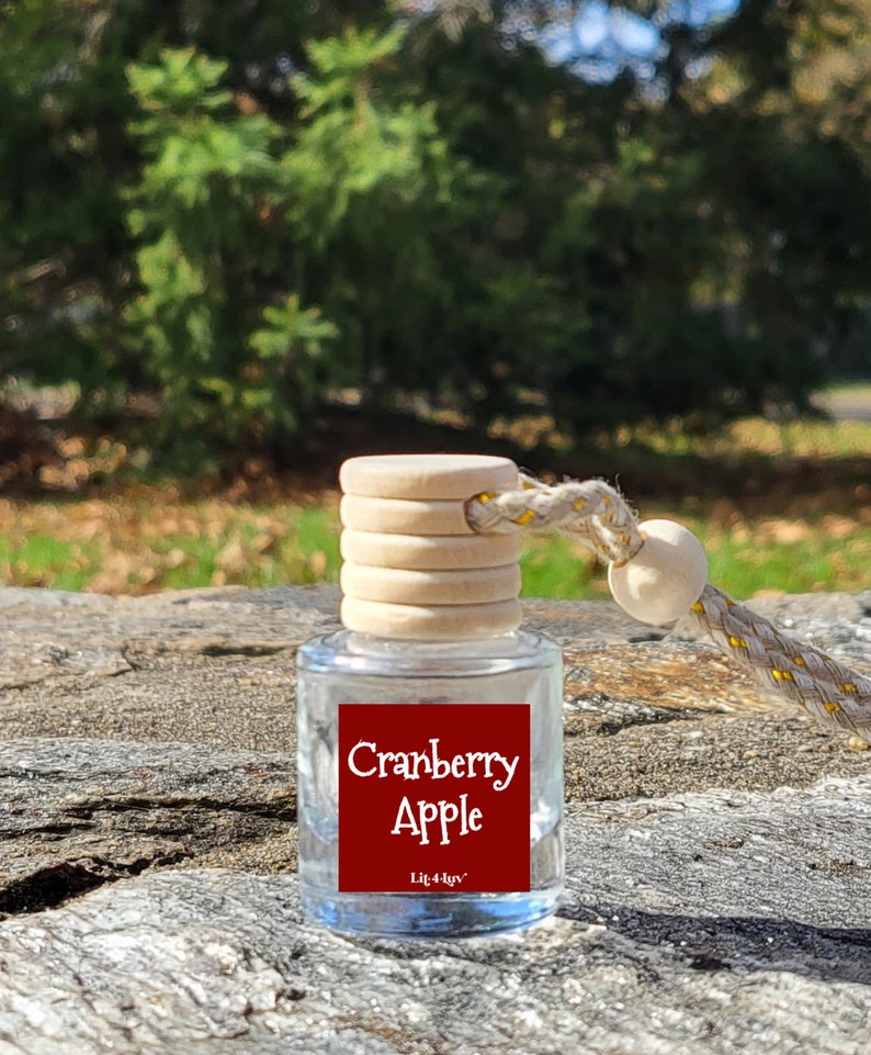 Elvis Presley Hanging Scented Car Diffuser Celebrity Car Air Fresheners