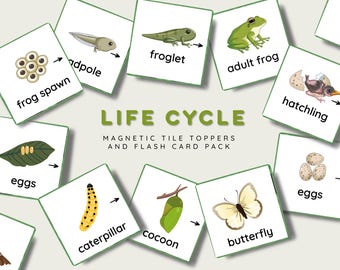 Adesivi magnetici e schede didattiche sul ciclo vitale: Educazione naturalistica (Download digitale)