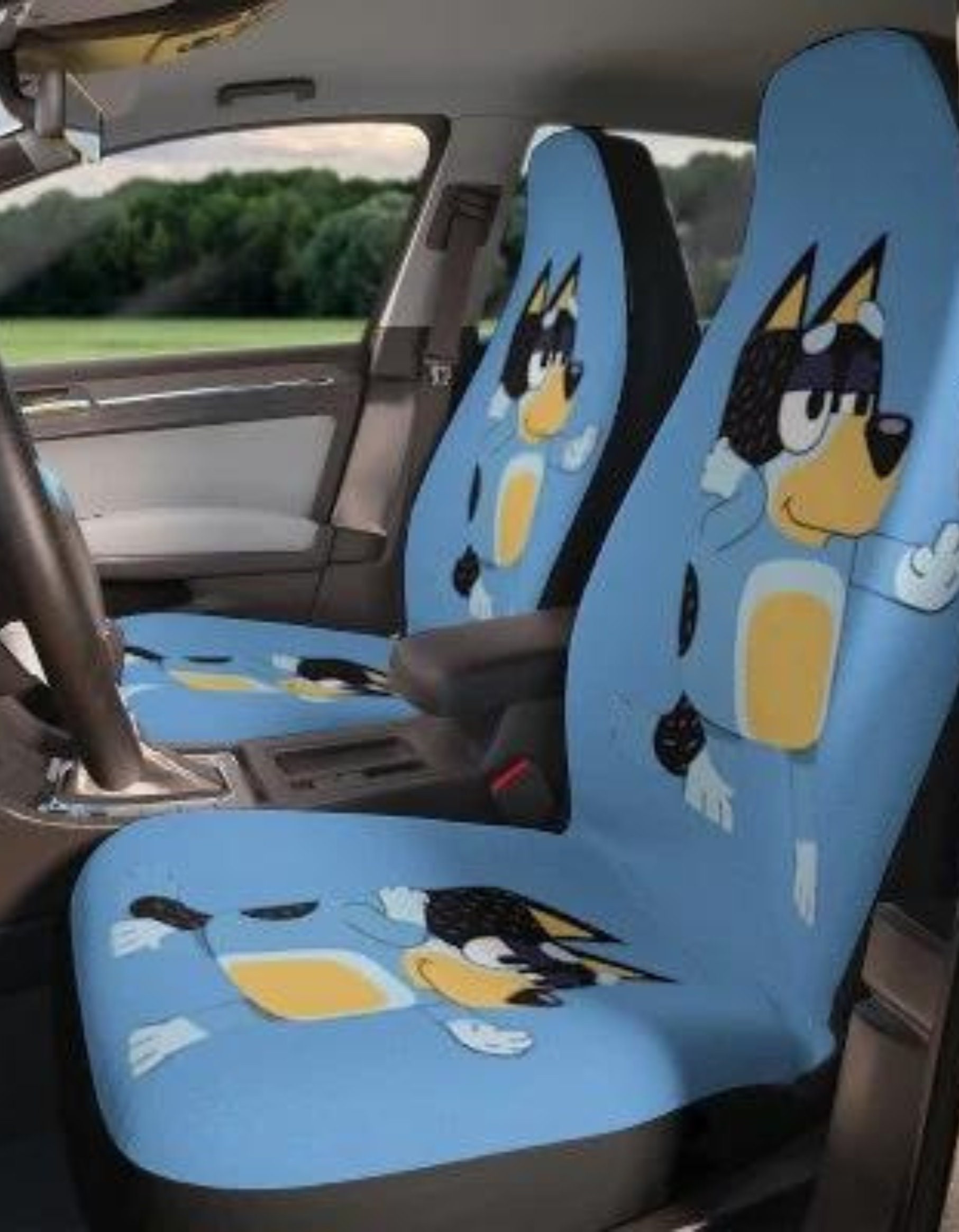 Discover BlueyDad Car Seat Covers