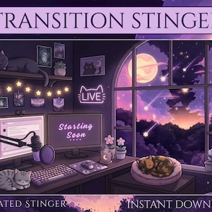 May include: A digital illustration of a gaming setup in a purple-toned room with a large arched window showing a night sky with a moon and shooting stars. The desk features two monitors, a keyboard, a mouse, a microphone, and a sleeping cat.