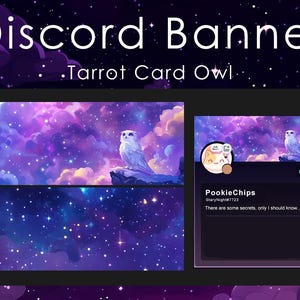 May include: A purple and blue galaxy themed Discord banner with a white owl perched on a branch. The banner includes the text "Discord Banner" and "Tarrot Card Owl". The banner also includes a profile picture of a cartoon cat with the text "PookieChips" and "StaryNight#7723". The text "There are some secrets, only I should know." is also included.