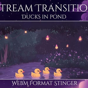 Könnte beinhalten: Digitale Illustration einer nächtlichen Teichszene mit vier gelben Entenküken im Wasser. Der Text "Stream Transition" und "Ducks in Pond" befindet sich oben, und "Webm Format Stinger" unten.