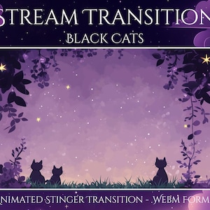Black Cat Stinger Transition | Moon Twitch Overlay | Cute Animated Stinger | Cozy Aesthetic for OBS, Streamers, YouTube & VTubers | Kittens
