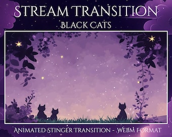Black Cat Stinger Transition | Moon Twitch Overlay | Cute Animated Stinger | Cozy Aesthetic for OBS, Streamers, YouTube & VTubers | Kittens