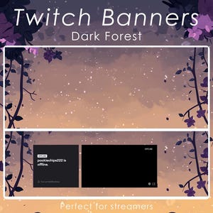 Magic Night Twitch Banner, Sternenhimmel, Celestial Stream Overlay, Mystic Moon, Gemütliche Nachtästhetik, Sterne, Mond, Celestial Glow, Night Vibes