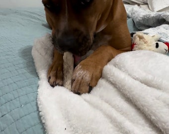 Anxiety calming chewable dog treat