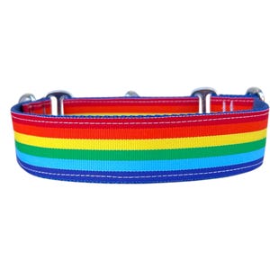 May include: A rainbow-striped dog collar with a blue border and silver metal hardware. The collar features a vibrant spectrum of colors, including red, orange, yellow, green, and blue. The collar is designed for a comfortable fit and secure attachment.