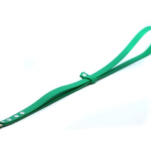 Puede incluir: Una correa de perro verde con un clip plateado.