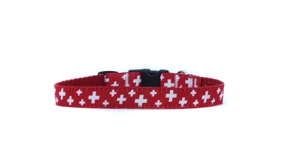 4 inch top wide dog collar