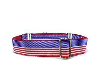 Wide 1 1/2 inch Adjustable Buckle or Martingale Dog Collar in American Flag