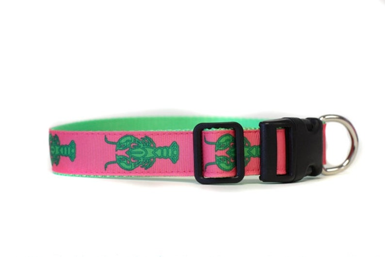 1 Inch Wide Dog Collar with Adjustable Buckle or Martingale in Lobsters an Exclusive Design image 1