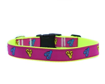 2,5 cm brett hundhalsband med justerbart spänne eller martingale i flip-flops