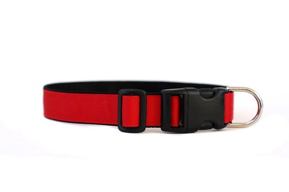 1 inch sale wide dog collar