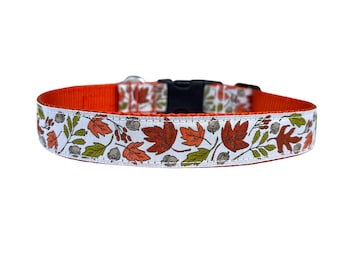 2,5 cm brett hundhalsband med justerbart spänne eller martingale i höstens festivallöv