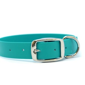 1&quot; Wide Biothane Tongue Buckle Collar - Stainless Hardware